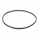 Уплотнительное кольцо к прижимному фланцу корпуса насоса Emaux SC (02011089)