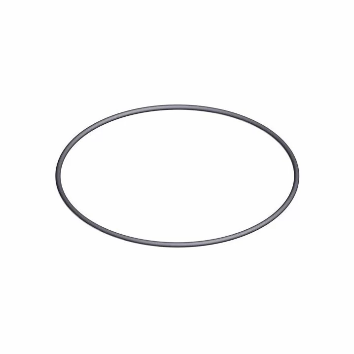 Уплотнительное кольцо под крышку 6-позиционного крана Hayward (2")