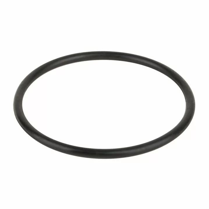 Уплотнительное кольцо соединительной муфты насоса Aquaviva VWS/STP 25-120